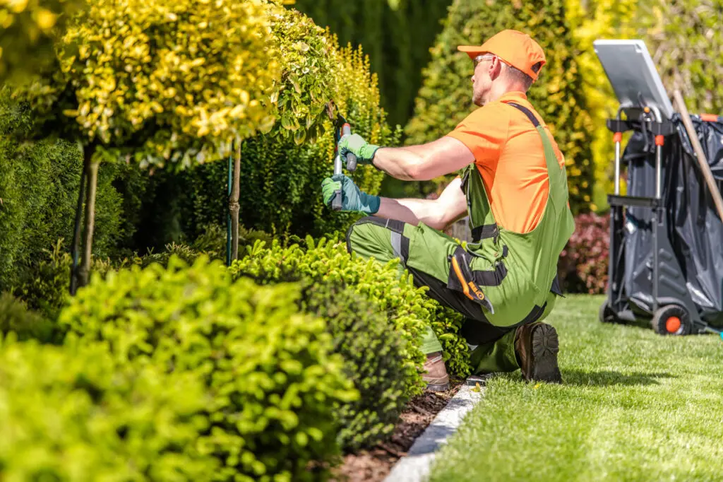 gardening-services-1024x682